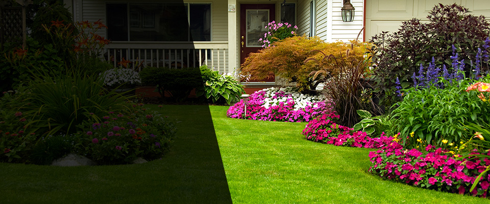 Fort Lupton Landscapers